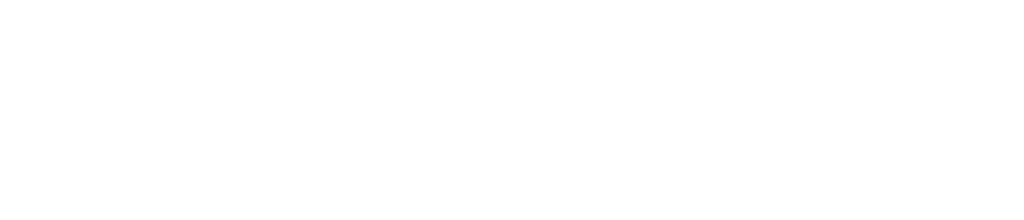 SecureFire Logo