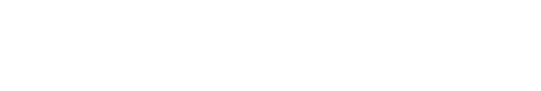 SecureFire Logo