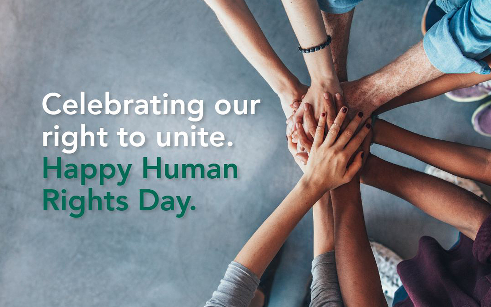 Human Rights Day: Safety and security begin with all of us - Fidelity ...